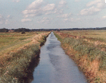 Suffolk Drain
